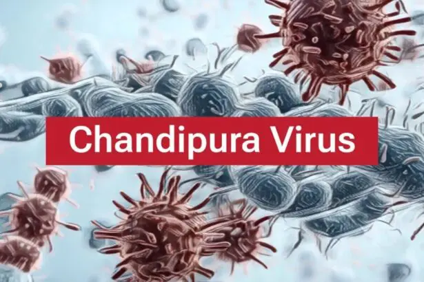 Chandipura virus