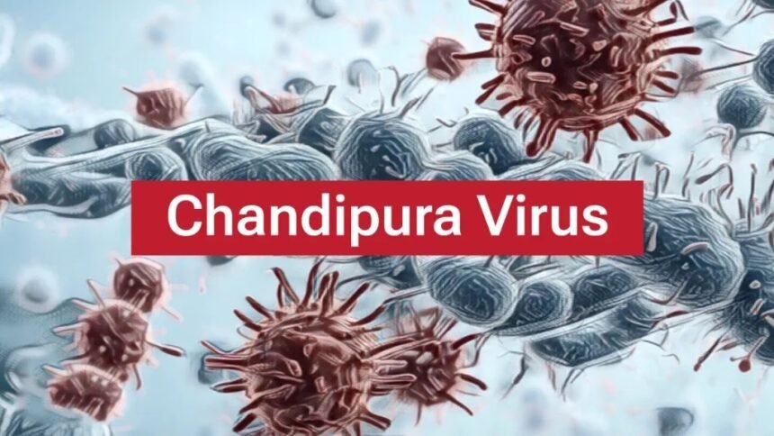 Chandipura virus