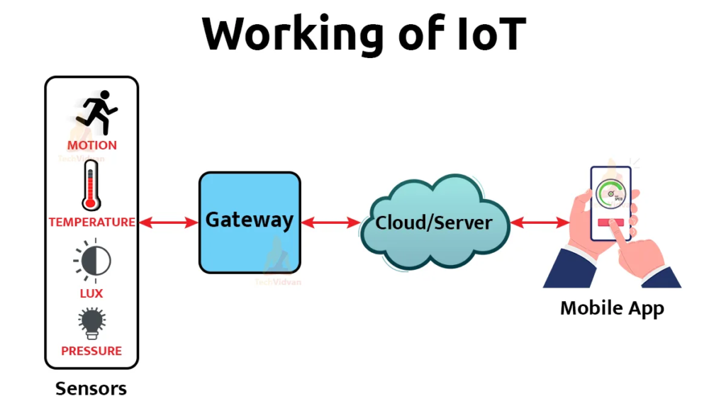 IoT