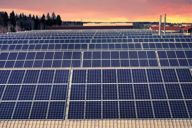 Waaree Energies Share