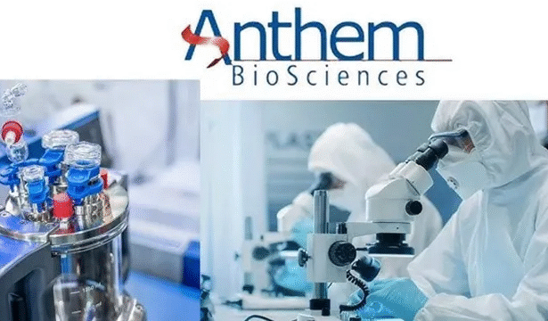 Anthem Biosciences Share Price
