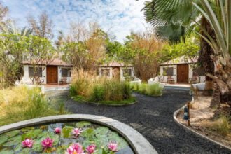 Best Resort Near Ahmedabad for a One Day Picnic