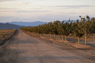 Best Craigslist Alternatives for Mohave County