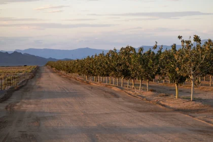 Best Craigslist Alternatives for Mohave County