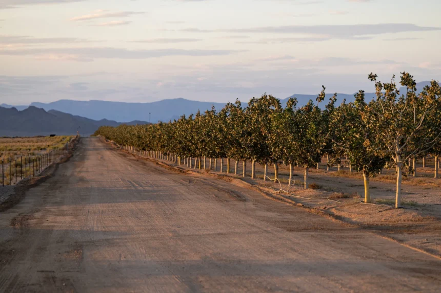 Best Craigslist Alternatives for Mohave County