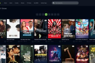 How Safe Is Flixhq.ws