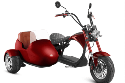 Electric Scooter with Sidecar