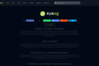 Is Flix.hq Safe to Use