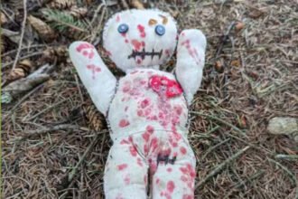 Voo Voo Dolls Explained