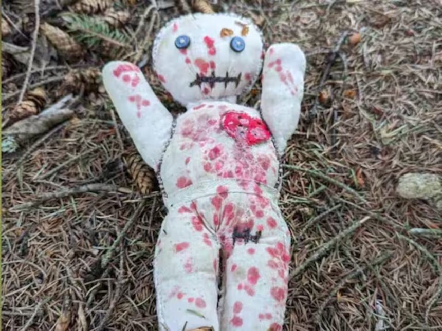 Voo Voo Dolls Explained