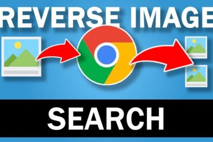 Reverse image search