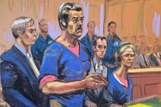 Maduro Kidnapping Allegations