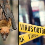 Nipah Virus Outbreak