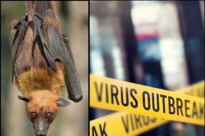 Nipah Virus Outbreak