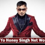 Yo Yo Honey Singh Net Worth 2026 in Rupees