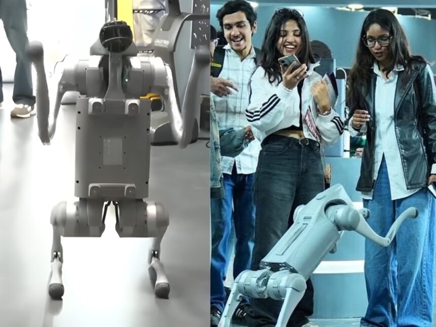 Galgotias Robot Dog Controversy