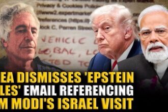 the Epstein Files Released