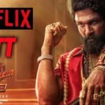 Pushpa 2 OTT release streaming