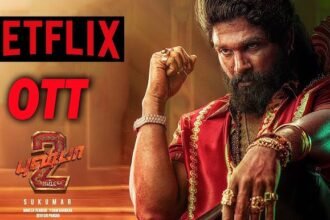 Pushpa 2 OTT release streaming
