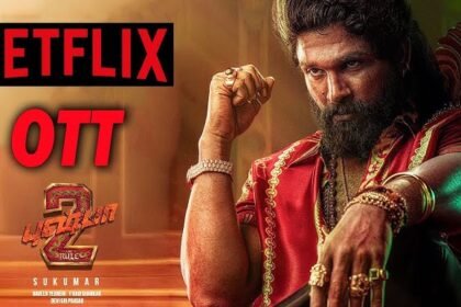 Pushpa 2 OTT release streaming