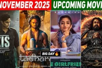 Bollywood movies November 2025 releases