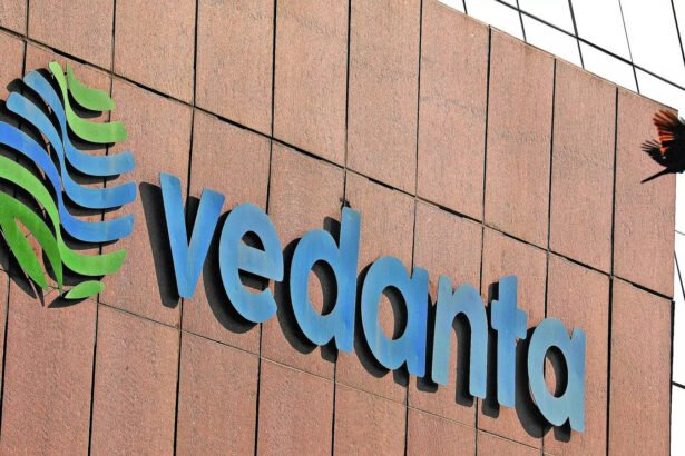 Vedanta Shareholder Value